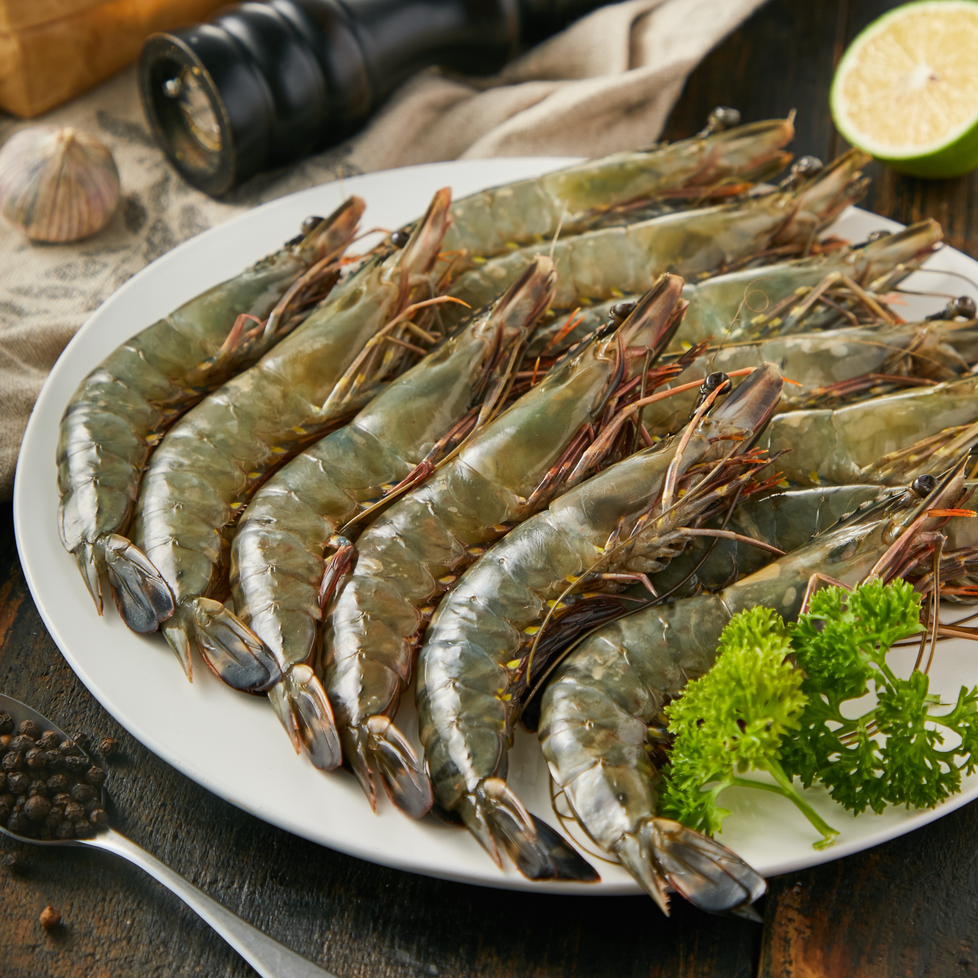 黑虎虾<br>Black Tigei Shrimp RHOSD